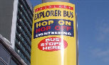 Hop On Hop Off City Bus